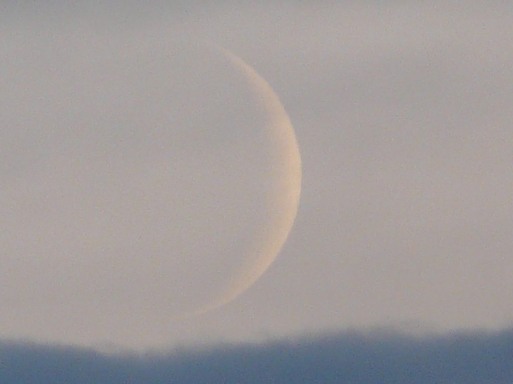 P1110551a.JPG