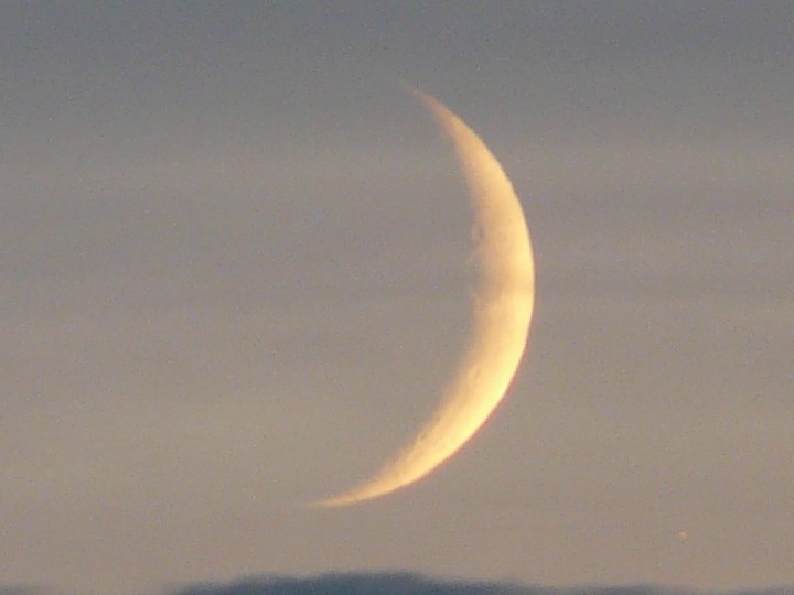 P1110580a.JPG