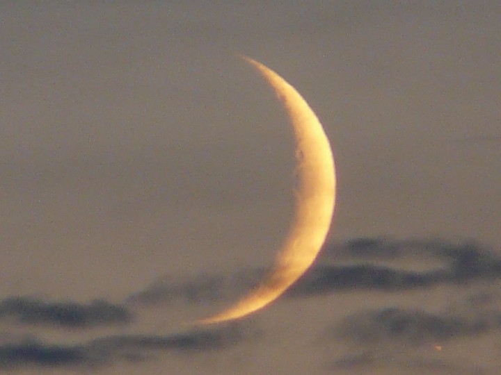 P1110584a.JPG