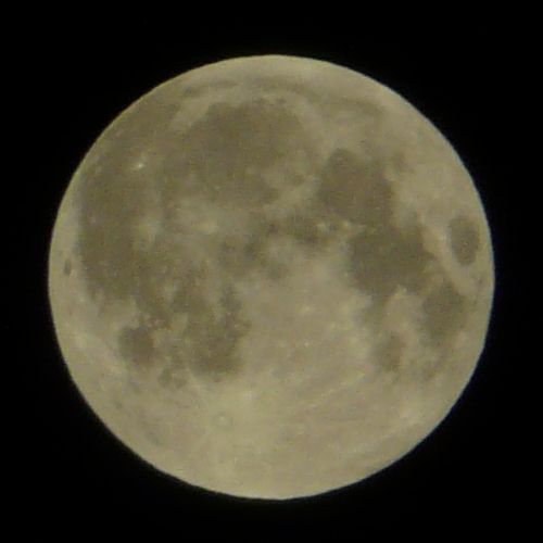 p1090200.jpg